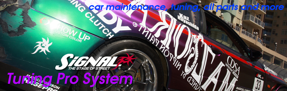 Tuning Pro System Banner